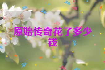 原始传奇花了多少钱