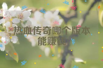 热血传奇哪个版本能赚钱