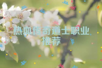 热血传奇道士职业推荐