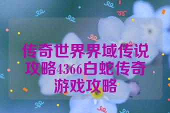 传奇世界界域传说攻略4366白蛇传奇游戏攻略