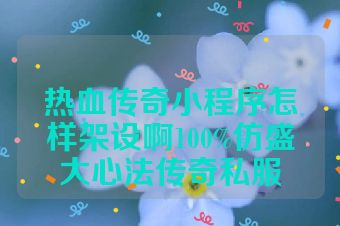 热血传奇小程序怎样架设啊100%仿盛大心法传奇私服