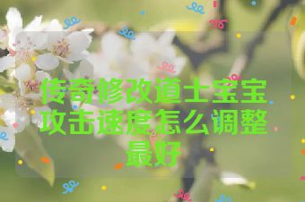 传奇修改道士宝宝攻击速度怎么调整最好