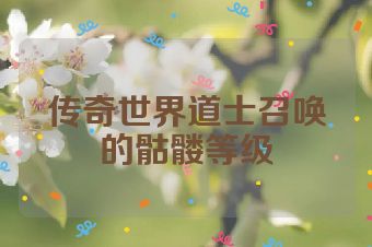 传奇世界道士召唤的骷髅等级
