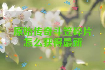原始传奇斗笠碎片怎么获得最新