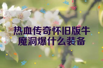 热血传奇怀旧版牛魔洞爆什么装备