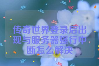 传奇世界登录后出现与服务器强行中断怎么解决