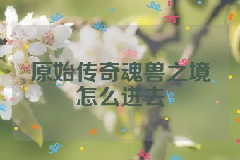 原始传奇魂兽之境怎么进去