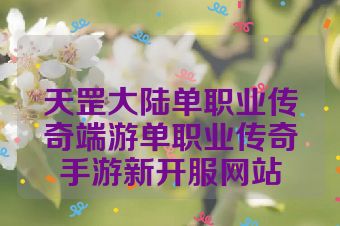 天罡大陆单职业传奇端游单职业传奇手游新开服网站