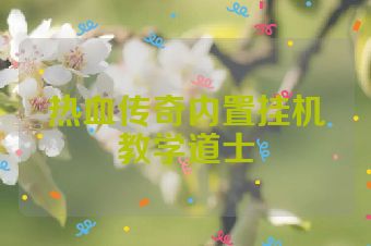 热血传奇内置挂机教学道士
