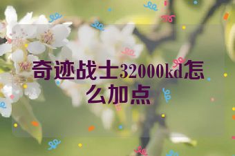 奇迹战士32000kd怎么加点