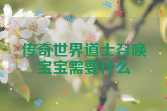 传奇世界道士召唤宝宝需要什么