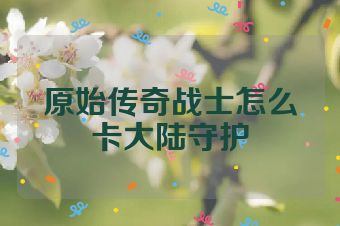 原始传奇战士怎么卡大陆守护