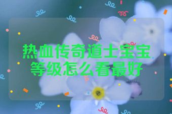 热血传奇道士宝宝等级怎么看最好