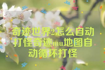 奇迹世界2怎么自动打怪奇迹mu地图自动循环打怪