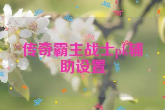 传奇霸主战士pk辅助设置
