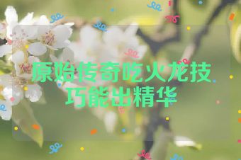 原始传奇吃火龙技巧能出精华