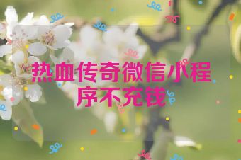 热血传奇微信小程序不充钱