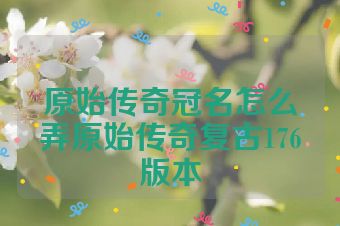 原始传奇冠名怎么弄原始传奇复古176版本