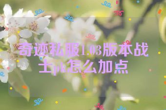 奇迹私服1.03版本战士pk怎么加点