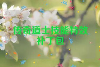 传奇道士技能特效补丁包
