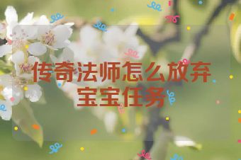 传奇法师怎么放弃宝宝任务