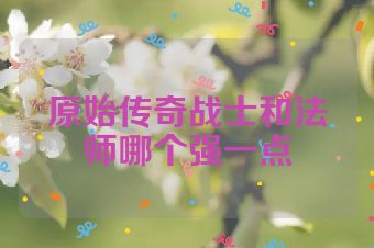 原始传奇战士和法师哪个强一点