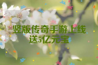 竖版传奇手游上线送5亿元宝
