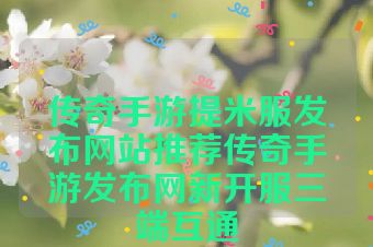 传奇手游提米服发布网站推荐传奇手游发布网新开服三端互通