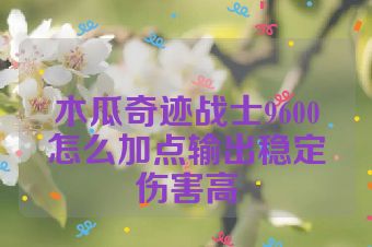 木瓜奇迹战士9600怎么加点输出稳定伤害高