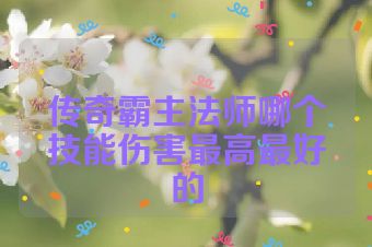 传奇霸主法师哪个技能伤害最高最好的