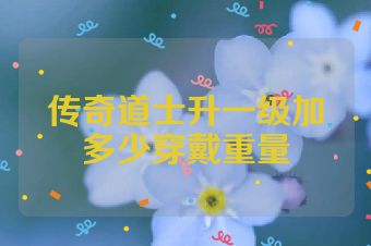 传奇道士升一级加多少穿戴重量