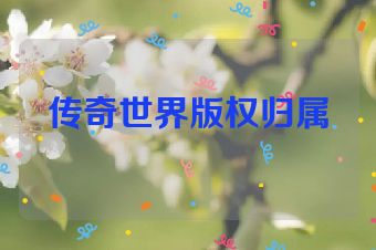传奇世界版权归属