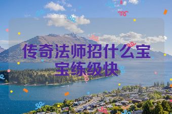 传奇法师招什么宝宝练级快