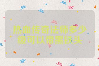 热血传奇法师多少级可以带黑铁头