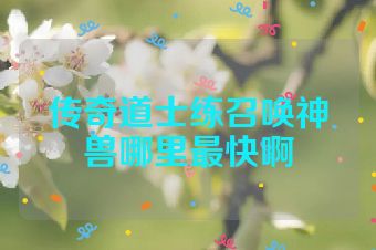 传奇道士练召唤神兽哪里最快啊