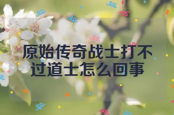 原始传奇战士打不过道士怎么回事