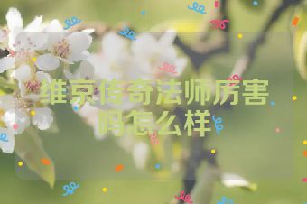 维京传奇法师厉害吗怎么样
