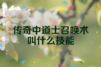 传奇中道士召唤术叫什么技能