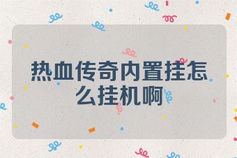 热血传奇内置挂怎么挂机啊