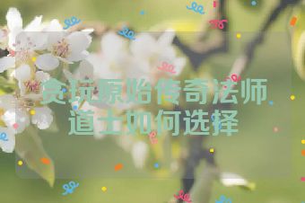 贪玩原始传奇法师道士如何选择