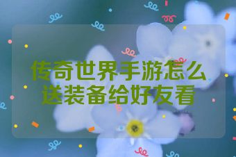 传奇世界手游怎么送装备给好友看