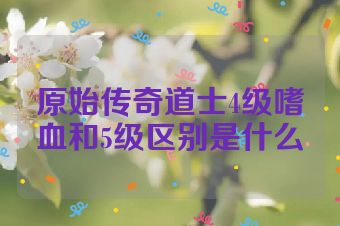 原始传奇道士4级嗜血和5级区别是什么