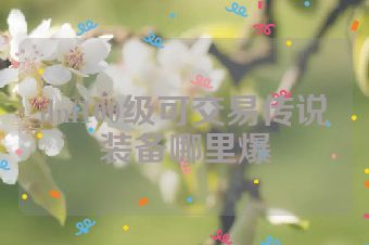 dnf100级可交易传说装备哪里爆