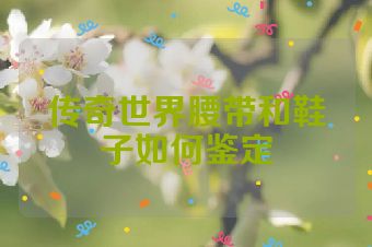 传奇世界腰带和鞋子如何鉴定