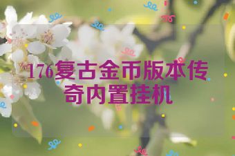 176复古金币版本传奇内置挂机