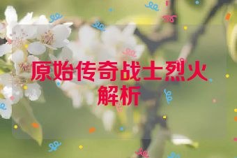 原始传奇战士烈火解析