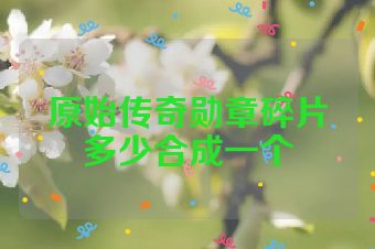 原始传奇勋章碎片多少合成一个