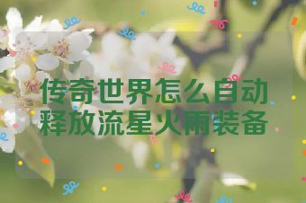 传奇世界怎么自动释放流星火雨装备