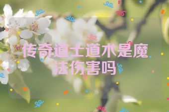 传奇道士道术是魔法伤害吗