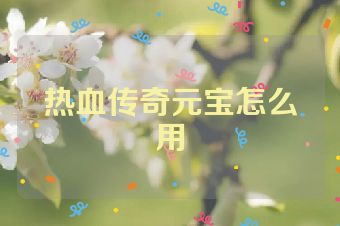 热血传奇元宝怎么用